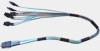 CBL-0097L-02